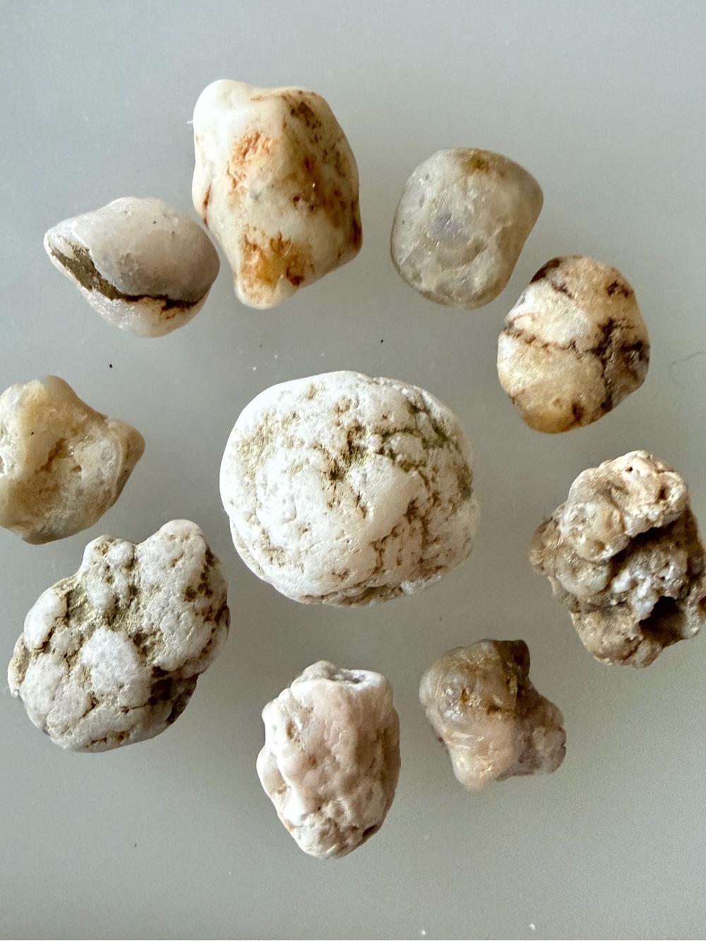 ✨8 Natural Lake Michigan Geodes✨ ~1”-1.5”